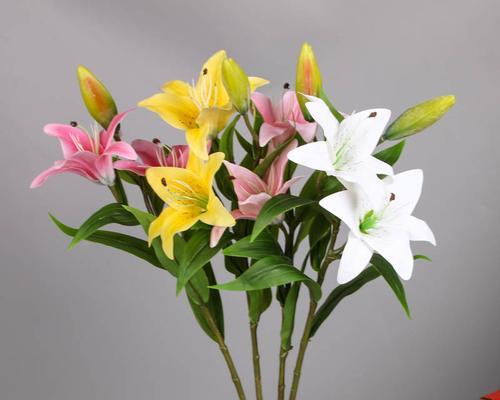 百合花的寓意是什么？适合送给哪些人？