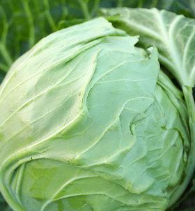 甘蓝菜和包菜是同一种蔬菜吗？它们的区别是什么？
