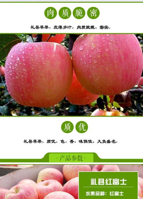 甘肃苹果何时成熟采摘最佳？采摘时间指南