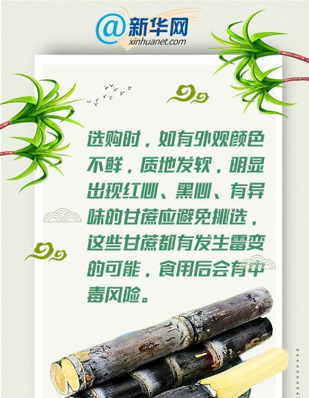 甘蔗施肥的最佳时间是什么时候？如何正确施肥？