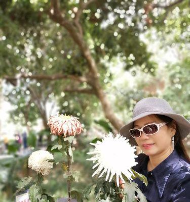 傲霜枝的含义是什么？如何理解菊残犹有傲霜枝这句话？