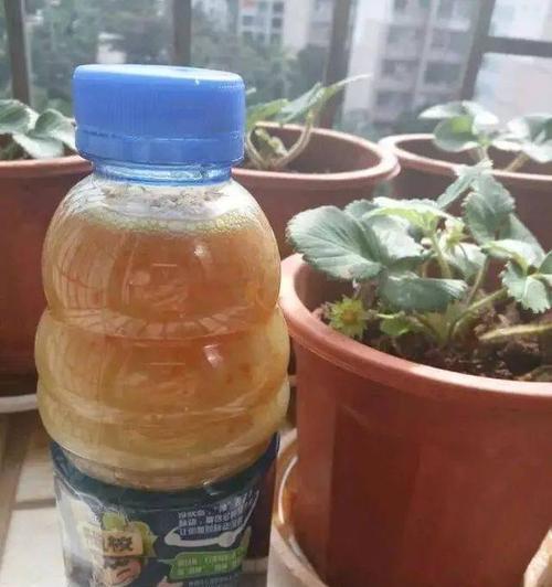 甘蔗渣沤肥的方法是什么？需要多长时间才能完成？