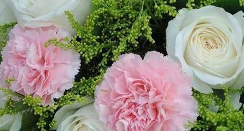 十一朵康乃馨的花语是什么？送花时需要注意什么？