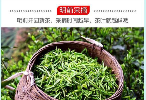 高山云雾茶属于什么茶？它有什么独特之处？