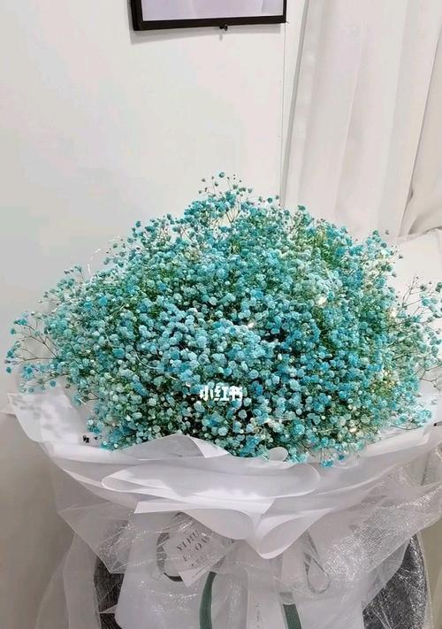 满天星花语是什么意思？如何正确解读满天星的花语含义？