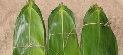 跟粽叶很像的植物是什么？如何区分它们？