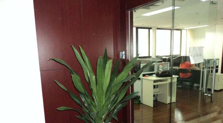 公司大门口适合放什么植物？如何选择合适的植物来装饰？