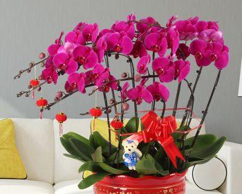 公司开业送什么花最合适？开业花篮选择指南