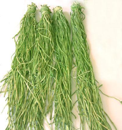 贡菜生吃安全吗？为何不推荐食用新鲜贡菜？