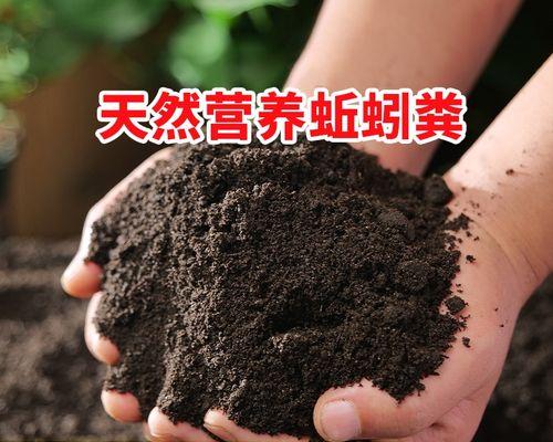 狗粪可以做肥料吗？如何正确使用狗粪作为有机肥料？