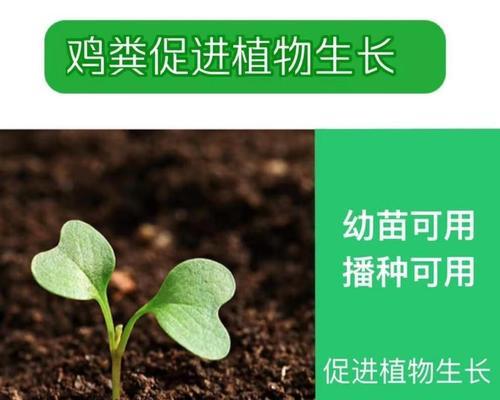 狗粪晒干后能用作肥料吗？如何正确处理和使用？