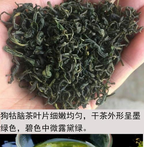 狗牯脑茶属于什么茶？它有什么独特之处？