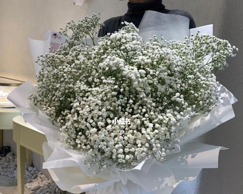 花白色满天星代表什么？满天星花语有哪些含义？