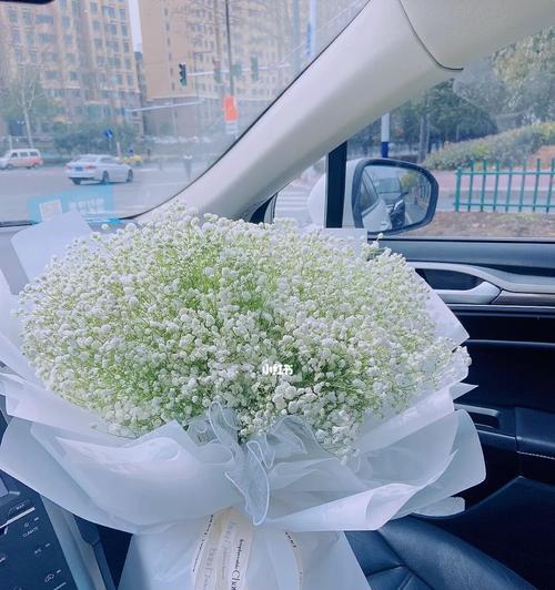 花白色满天星代表什么？满天星花语有哪些含义？