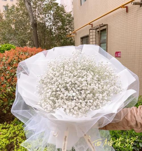 花白色满天星代表什么？满天星花语有哪些含义？