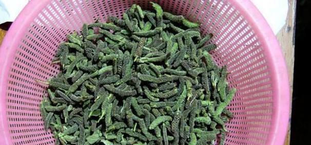 构树种子怎么吃法？有哪些健康益处？