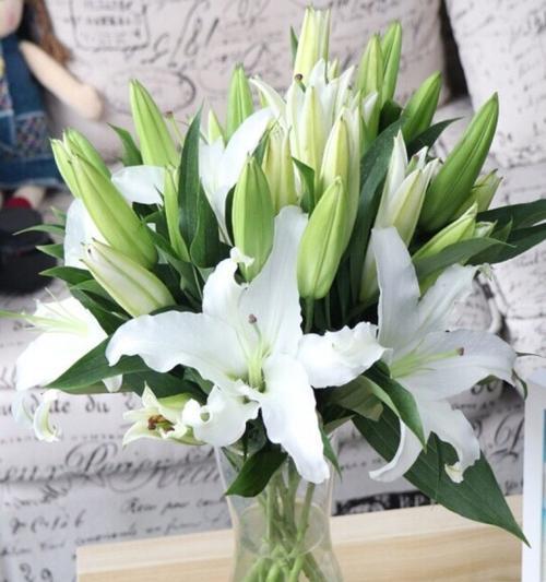 黄金霸百合花语是什么？如何表达爱意？