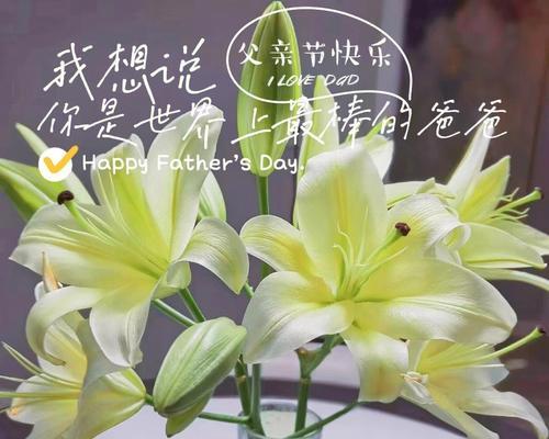 黄金霸百合花语是什么？如何表达爱意？