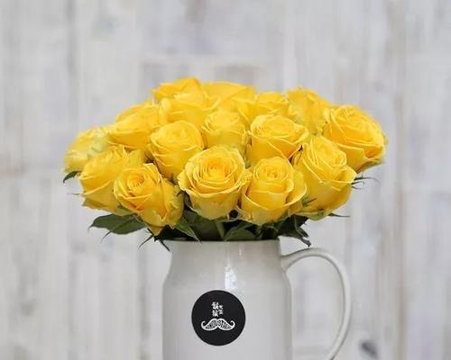 黄玫瑰花的花语是什么意思？送黄玫瑰代表什么情感？