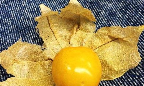 姑娘果每天食用数量与最佳时间是什么？