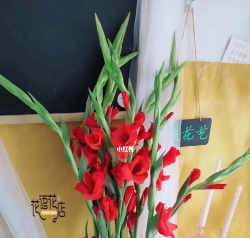 剑兰花花语解释？如何正确理解剑兰花的含义？
