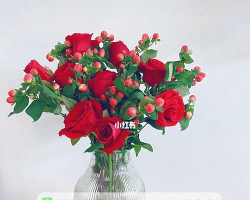 卡罗拉玫瑰花语是什么？如何表达爱意？