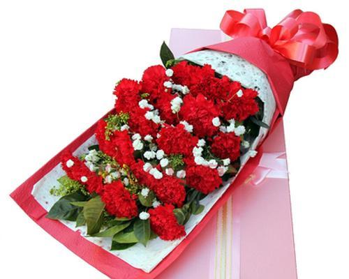 康乃馨花的含义是什么？不同颜色代表什么意义？