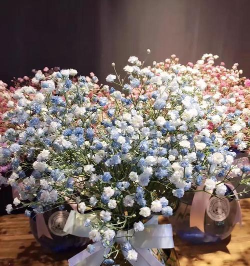 满天星的象征意义是什么？如何正确解读满天星的花语？
