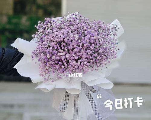 满天星花语南色是什么意思？如何正确解读满天星的花语？