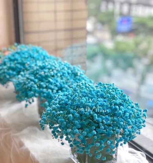 满天星鲜花代表什么含义？如何正确解读满天星花语？