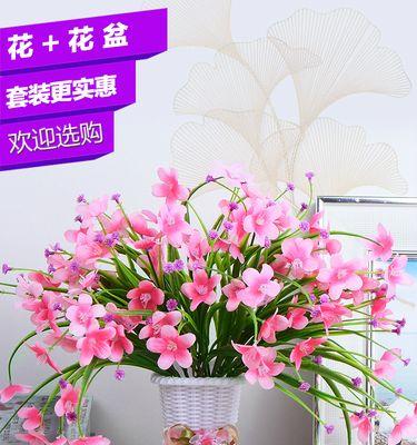 玫瑰花有哪些品种？它们各自代表什么意思？