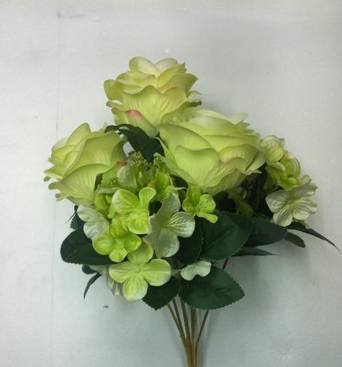 日系绿色切花小菊花语是什么？如何正确表达情感？