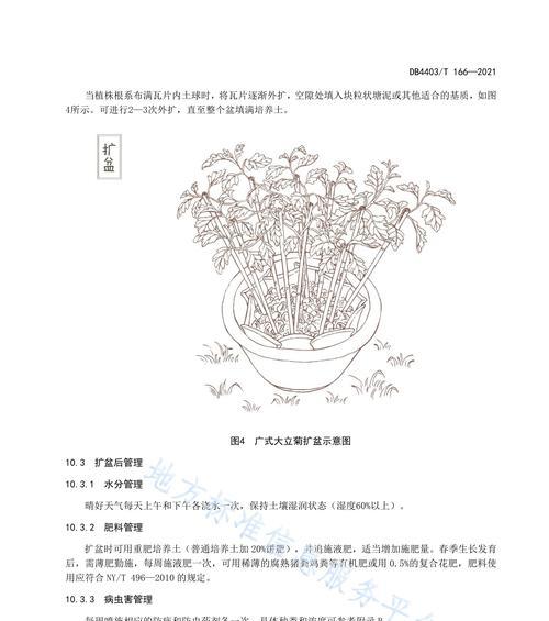 广寒宫配土方法是什么？种植土壤选择有哪些常见问题？