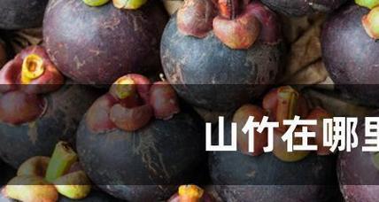 广西适合种植山竹吗？种植山竹需要注意什么？