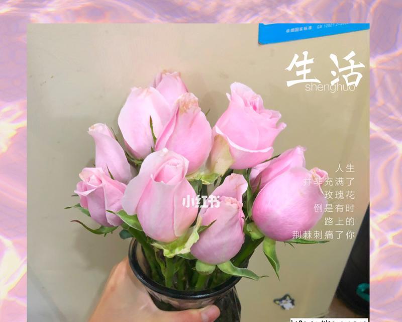 苏醒玫瑰花语是什么？如何表达爱意？