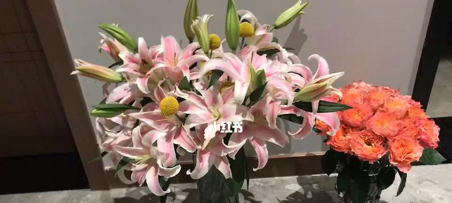 索尔邦百合花语是什么？如何正确解读其含义？