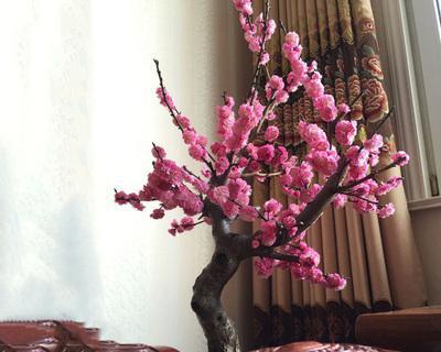 庭院梅花寓意是什么？梅花在庭院设计中有哪些含义？