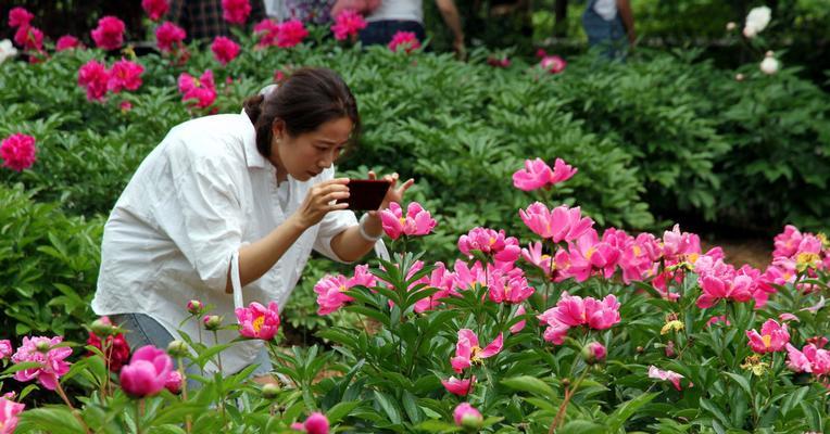 人物和牡丹花怎么拍照好看简单