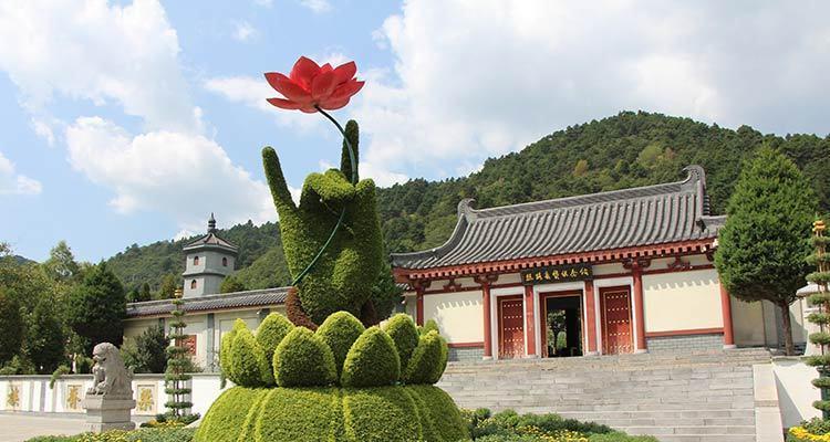 菊花园内容是什么