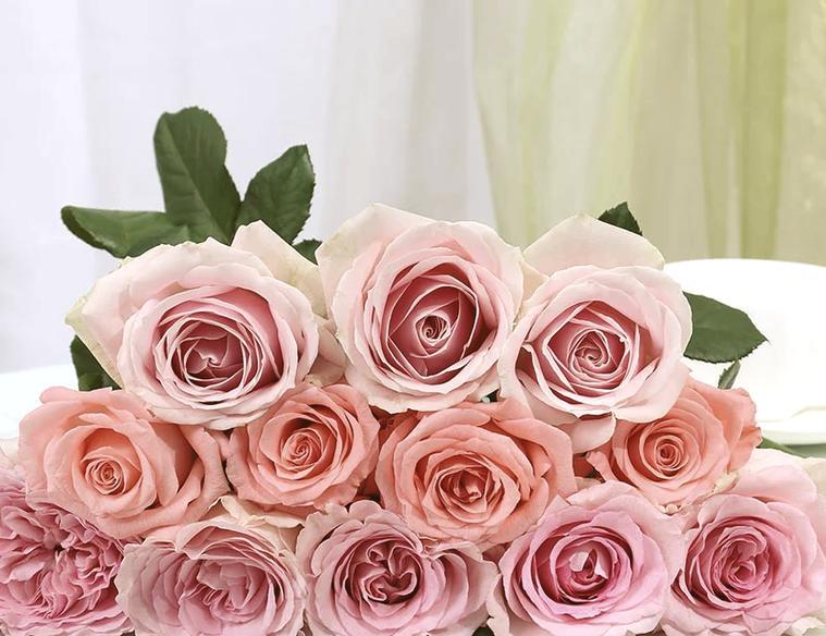 858朵玫瑰花有何特别含义?送给女生有何意义? 858朵玫瑰花有何特别含义?送给女生有何意义?