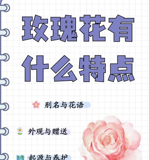 858朵玫瑰花有何特别含义?送给女生有何意义? 858朵玫瑰花有何特别含义?送给女生有何意义?