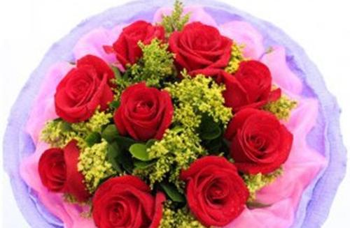 858朵玫瑰花的含义是什么？