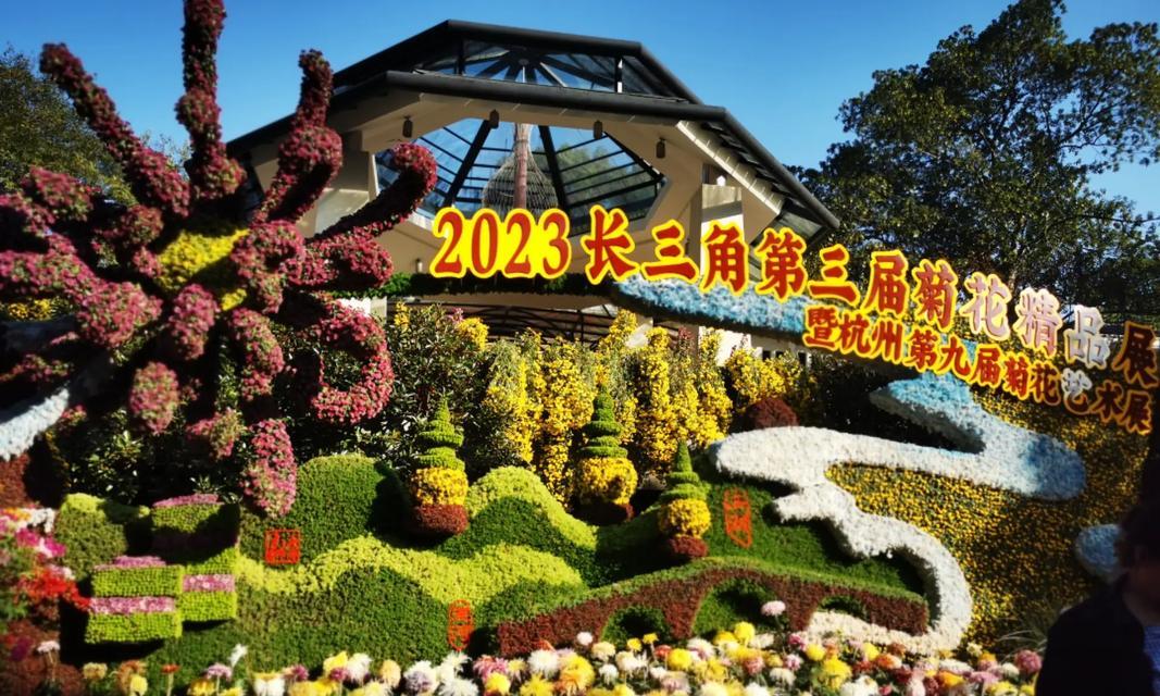 杭州菊花展结束能拿菊花吗今天