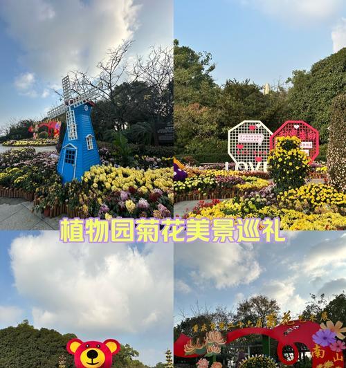 杭州菊花展结束能拿菊花吗今天