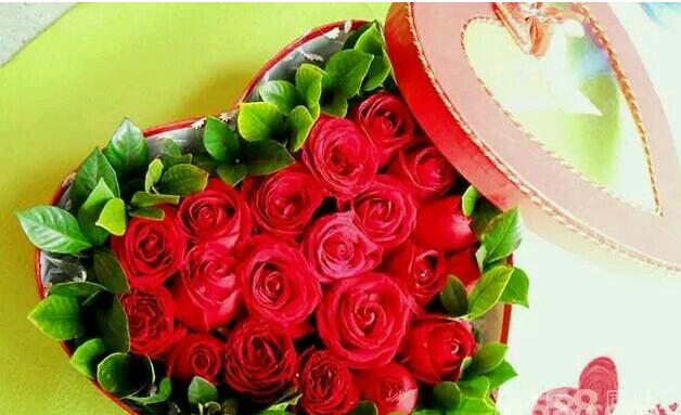 168朵玫瑰花的含义和英语读法是什么? 168朵玫瑰花的含义和英语读法是什么?