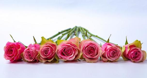 349朵玫瑰花代表什么含义?有何特殊意义? 349朵玫瑰花代表什么含义?有何特殊意义?