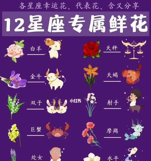手握黑玫瑰代表什么生肖？它们有何特别含义？