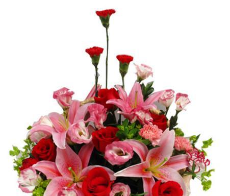 7枝玫瑰花代表什么含义？英语中如何发音？