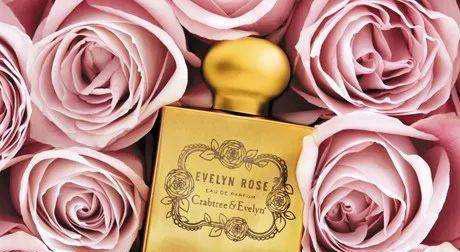 460朵玫瑰花表达什么意思英语?如何用英语表达? 460朵玫瑰花表达什么意思英语?如何用英语表达?