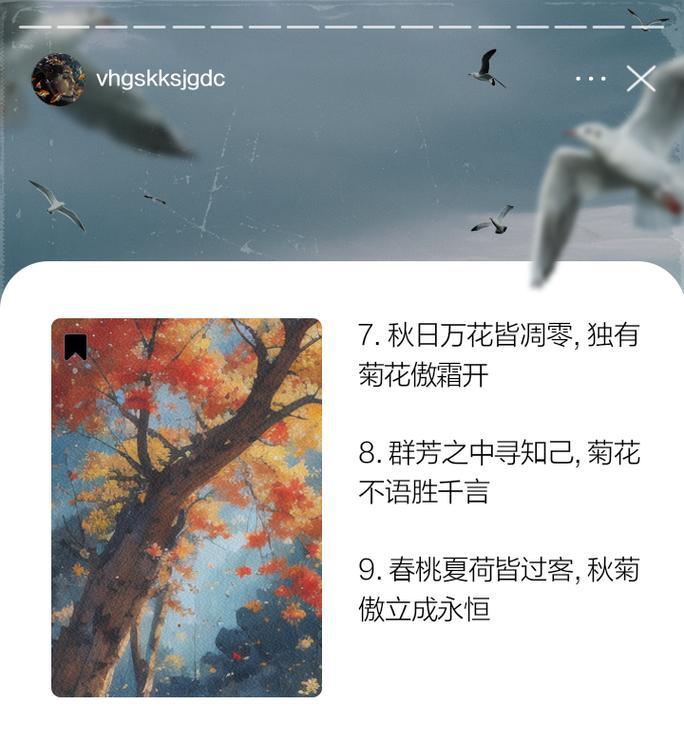 关于菊花的三百字的赞美词语有哪些呢